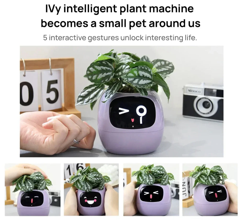 Ivy Smart Planter Endless Fun Over 49 Rich Expressions 7 Smart Sensors And AI Chips Make Raising Plants Easy And Fun