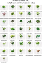 Ivy Smart Planter Endless Fun Over 49 Rich Expressions 7 Smart Sensors And AI Chips Make Raising Plants Easy And Fun