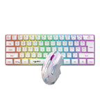 60% Wireless Gaming Keyboard and Mouse Combo, RGB Backlit Quiet Ergonomic Mechanical Feeling Keyboard, Gaming Mouse for Desktop