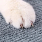 Cat Crawling Mat Anti Cat Scratch Sofa Grinding Climbing Frame Sofa Protection Self-adhesive Carpet Cats Scratch Board Cats Toys