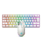 60% Wireless Gaming Keyboard and Mouse Combo, RGB Backlit Quiet Ergonomic Mechanical Feeling Keyboard, Gaming Mouse for Desktop